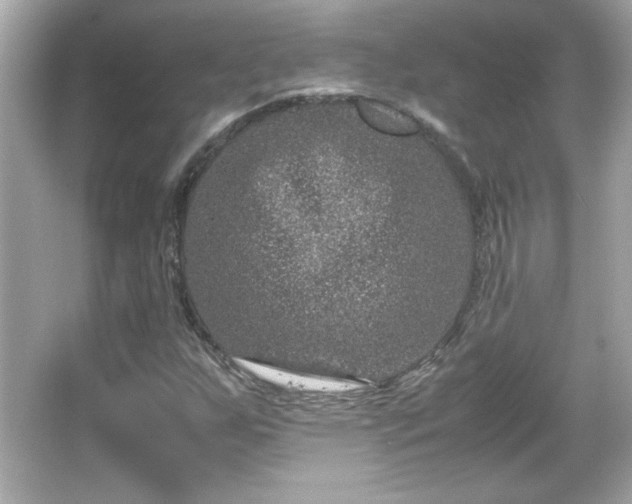 X0000066101255200603171348