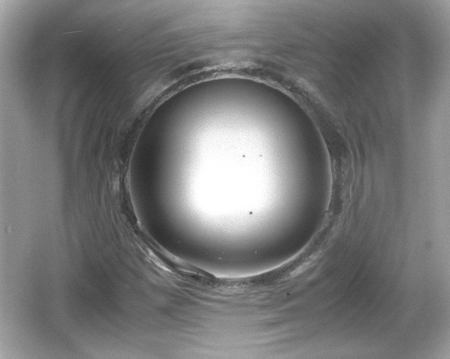 X0000066101257200603171348