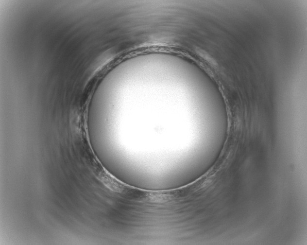 X0000066101258200603171348