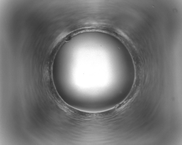 X0000066101259200603171347