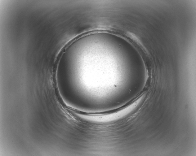 X0000066101260200603171347