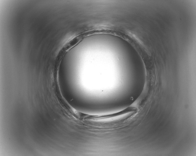 X0000066101261200603171347