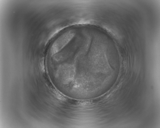 X0000066101262200603171347