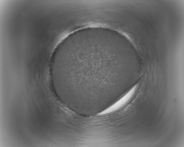 X0000066101263200603171347