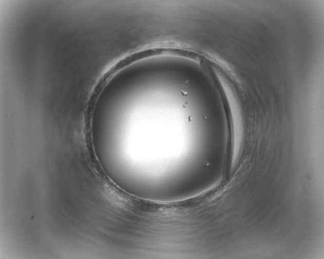 X0000066101264200603171347