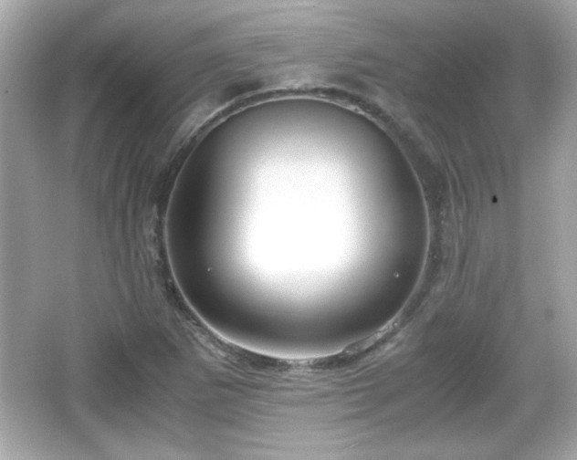 X0000066101265200603171347