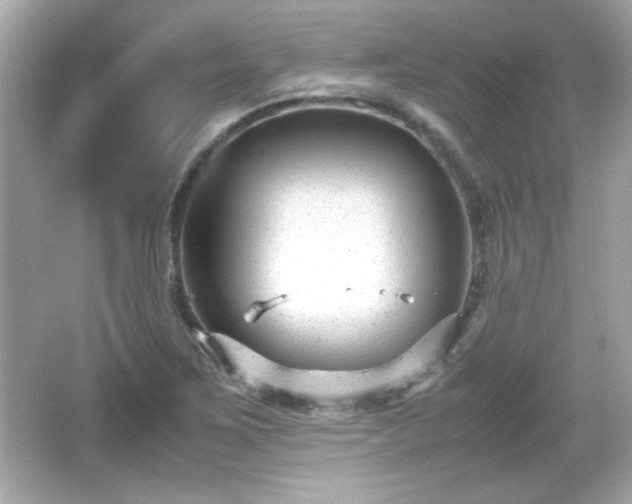 X0000066101267200603171347