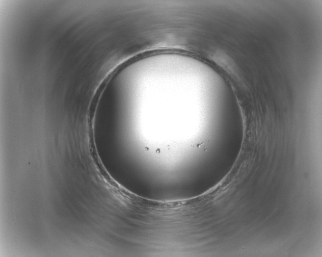 X0000066101268200603171347