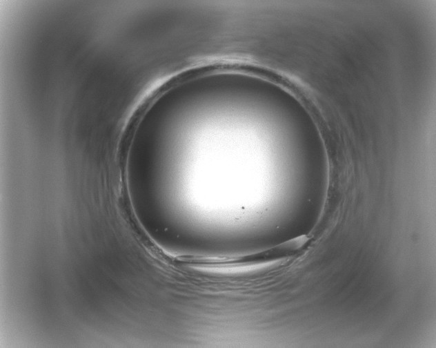 X0000066101271200603171347