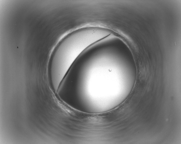 X0000066101272200603171347