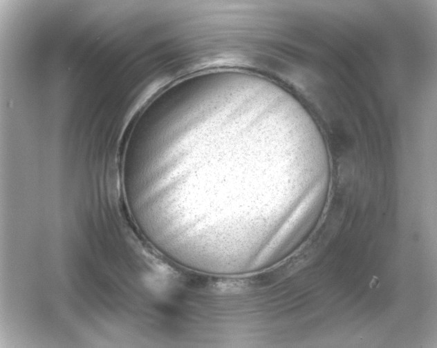 X0000066101274200603171347