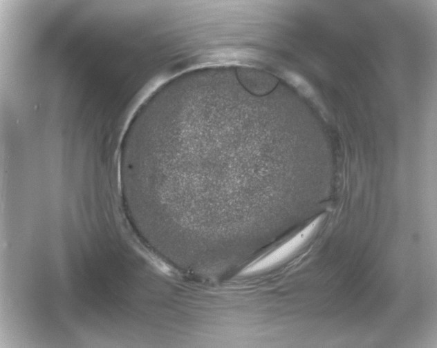 X0000066101275200603171347