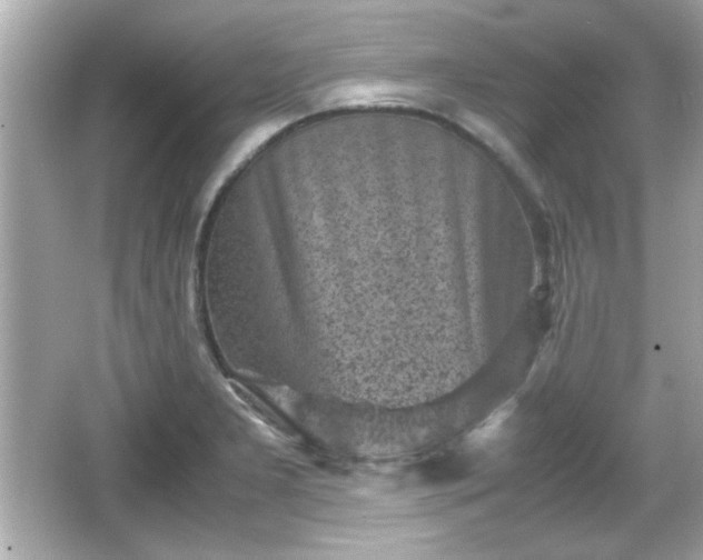 X0000066101277200603171347