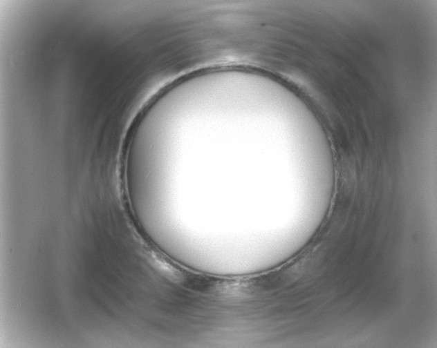 X0000066101278200603171347