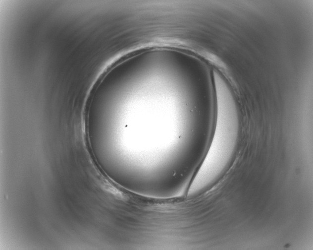 X0000066101280200603171347