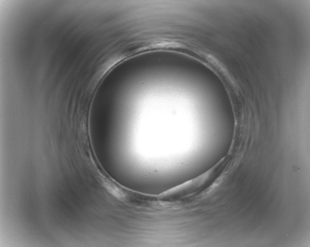 X0000066101281200603171347