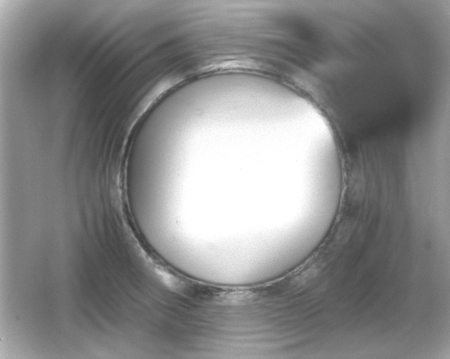 X0000066101282200603171347