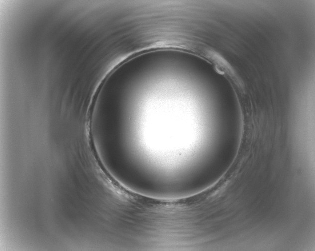 X0000066101284200603171347