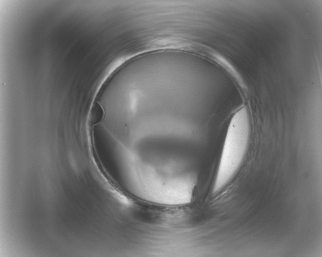 X0000066101291200603171347