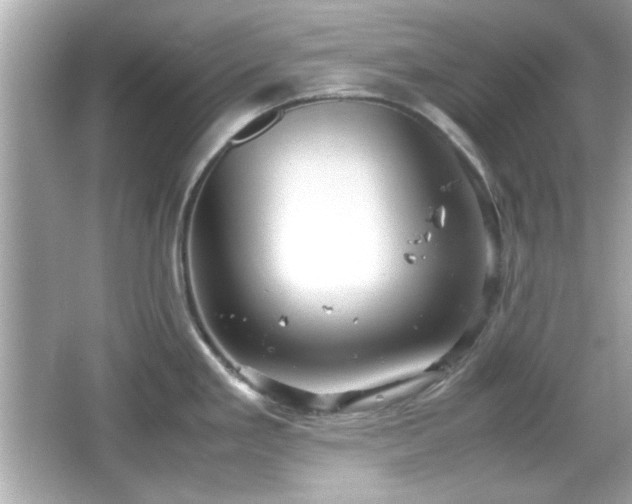 X0000066101293200603171347