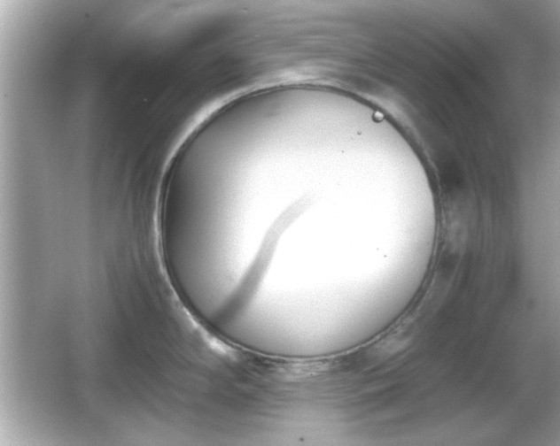 X0000066101294200603171347