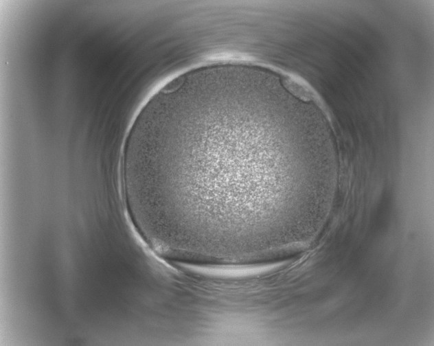 X0000066101295200603171347