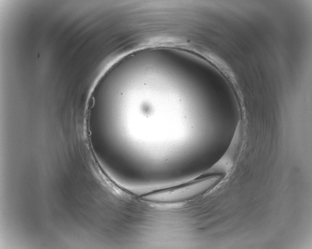 X0000066101296200603171347