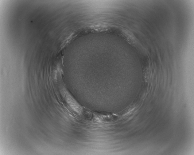 X0000066101298200603171346