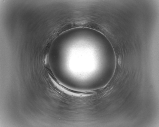 X0000066101299200603171346