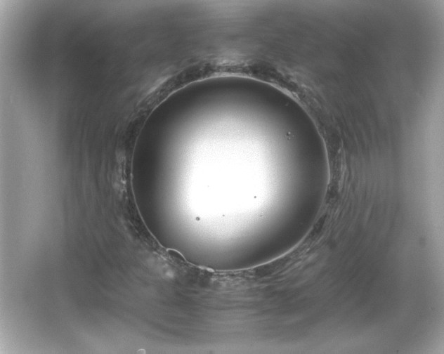 X0000066101301200603171346