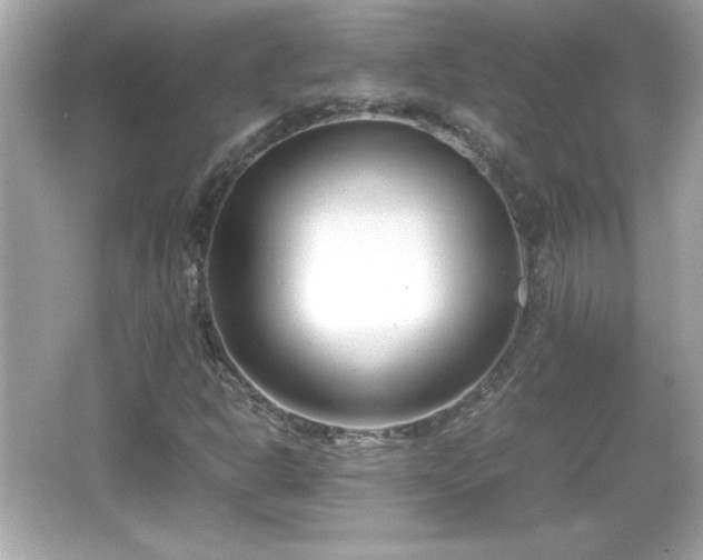 X0000066101302200603171346