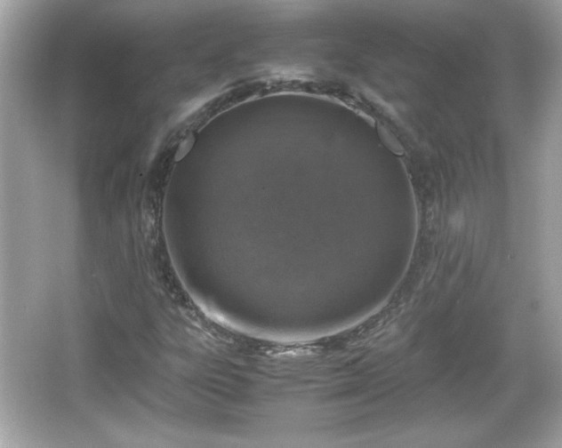 X0000066101303200603171346