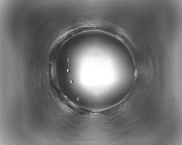 X0000066101304200603171346