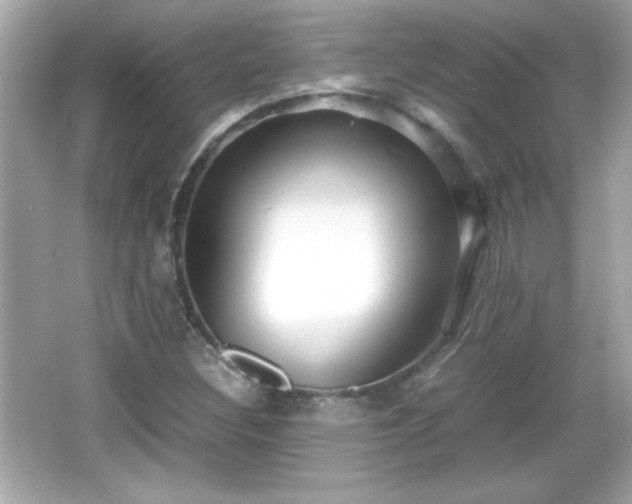 X0000066101308200603171346