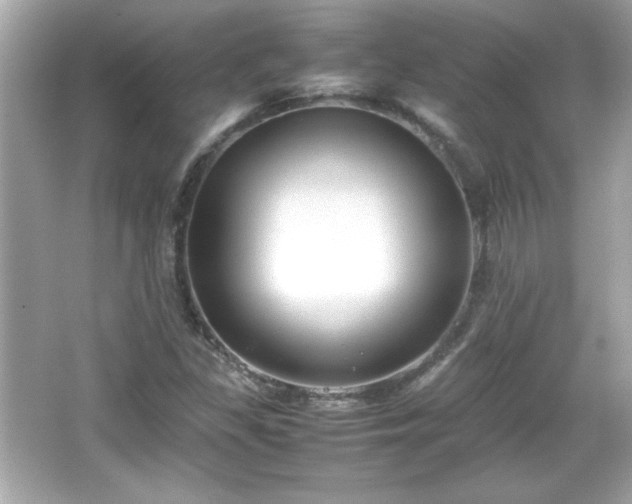 X0000066101309200603171346