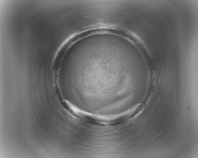 X0000066101310200603171346