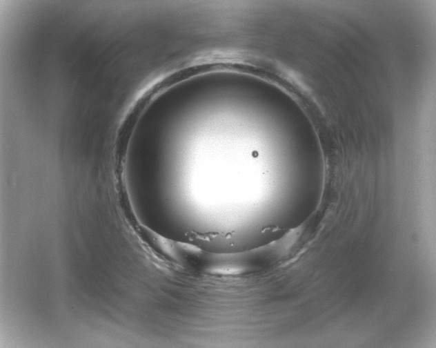 X0000066101312200603171346