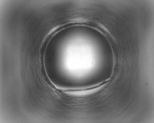 X0000066101315200603171346