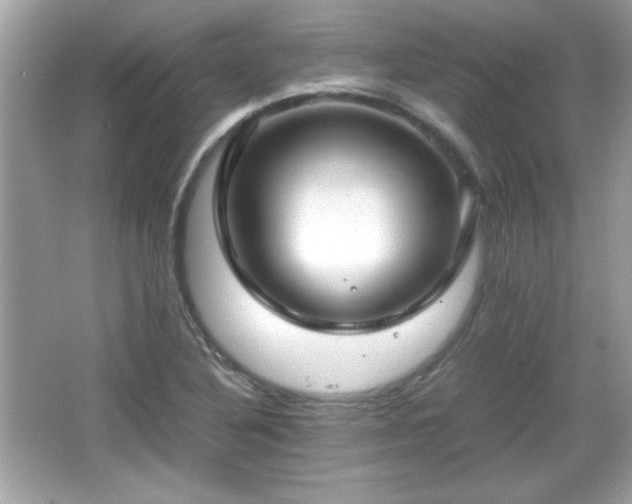 X0000066101316200603171346