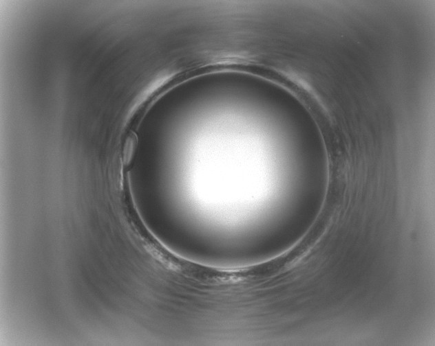 X0000066101317200603171346