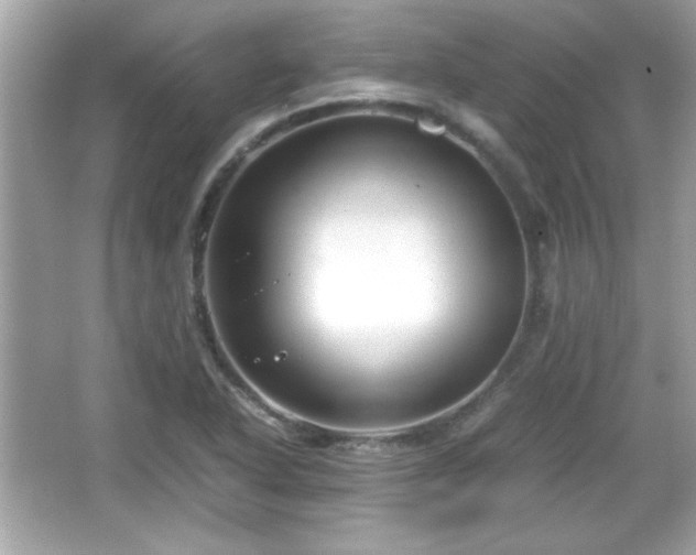 X0000066101318200603171346