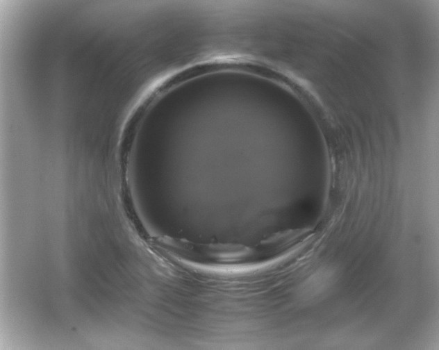 X0000066101319200603171346