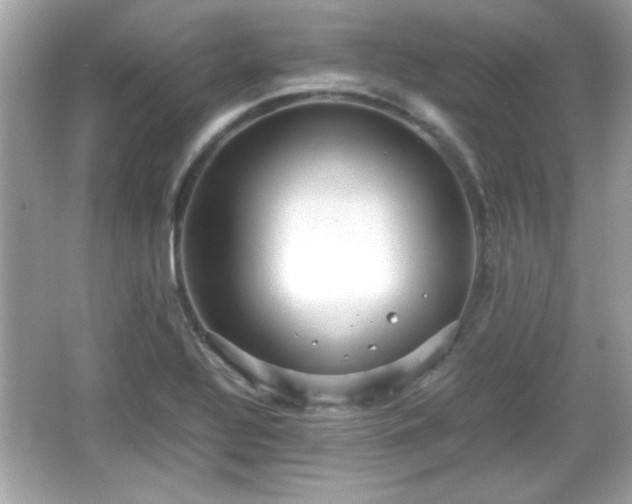 X0000066101320200603171346