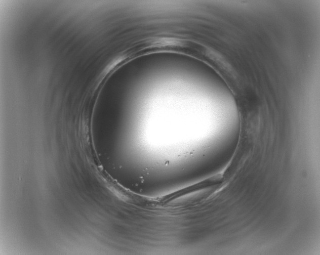 X0000066101321200603171346