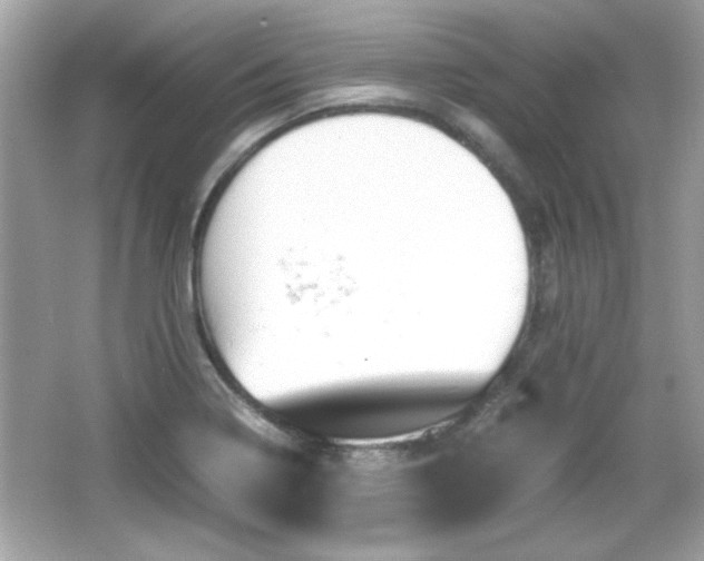 X0000066101322200603171346