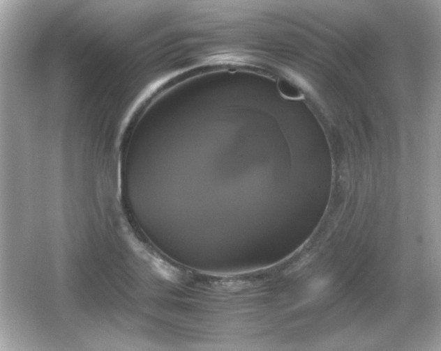 X0000066101323200603171347