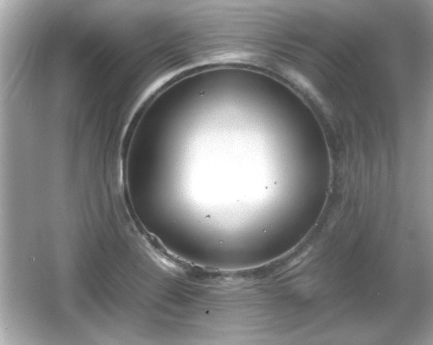 X0000066101324200603171347