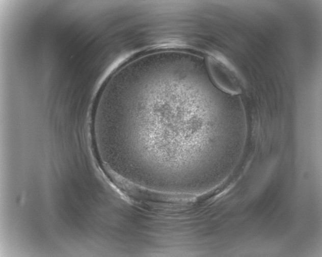 X0000066101325200603171347