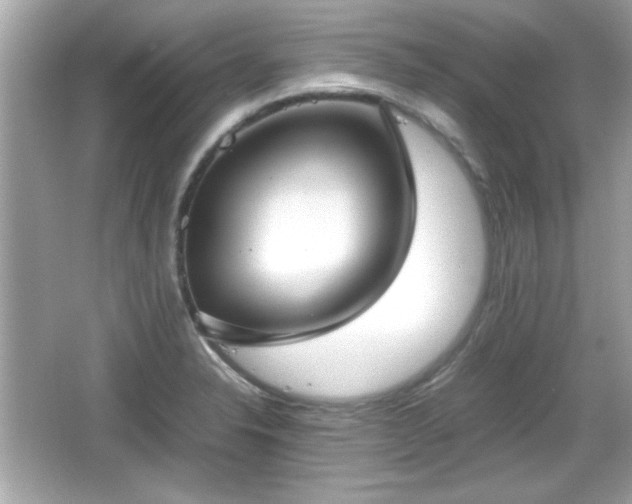 X0000066101326200603171347