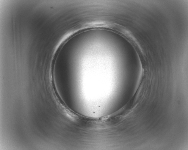 X0000066101328200603171347